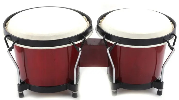 Bongos Drum, Bongo Medium
