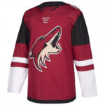 New Design 100% Polyester Sublimated Ice Hockey Jersey