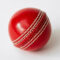 Cricket Balls