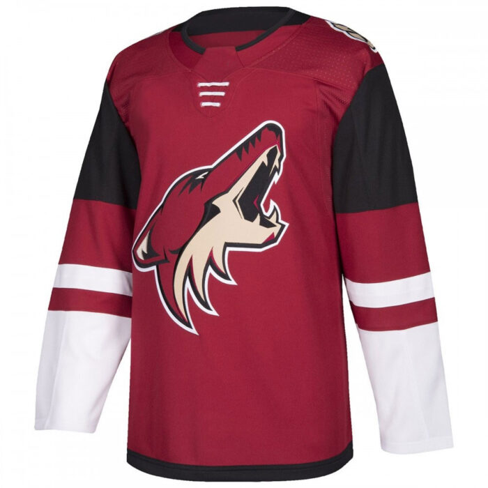 New Design 100% Polyester Sublimated Ice Hockey Jersey